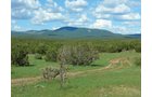 Property photo 10 - 7,320 Acres Offered in 5 Tracts
